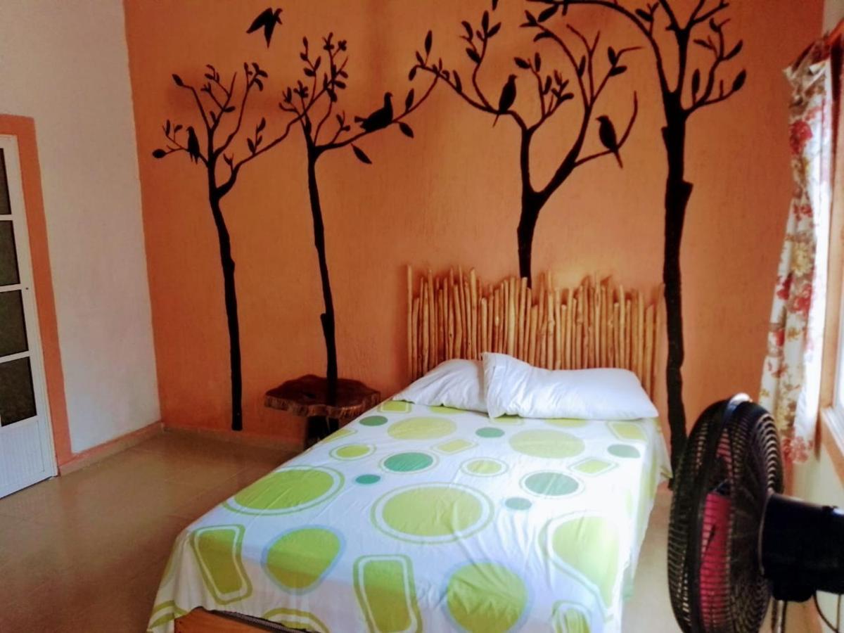 Tribe Beachville เอลกูโย ภายนอก รูปภาพ